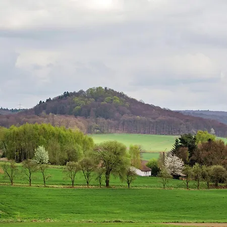 Large Detached In Hesse With Private Garden And Terrace