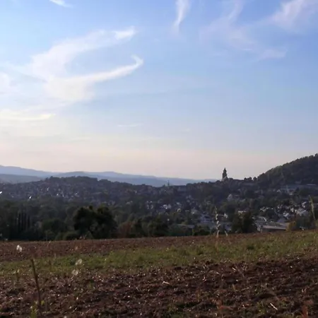 Large Detached In Hesse With Private Garden And Terrace 度假居 霍姆贝格