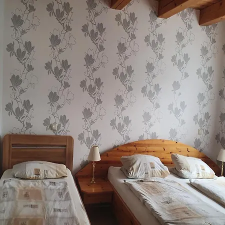 Large Detached In Hesse With Private Garden And Terrace 홈베르크
