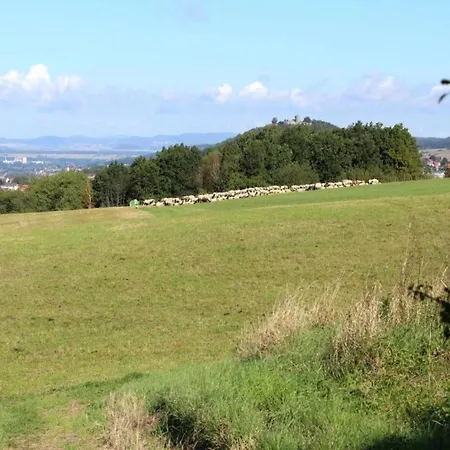 Large Detached In Hesse With Private Garden And Terrace *