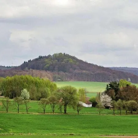 Large Detached In Hesse With Private Garden And Terrace