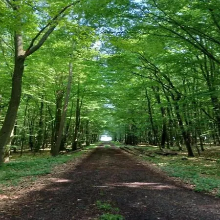 Large Detached In Hesse With Private Garden And Terrace *