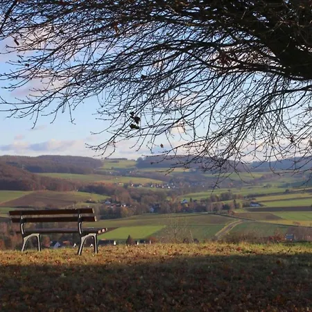 Large Detached In Hesse With Private Garden And Terrace Holiday home *