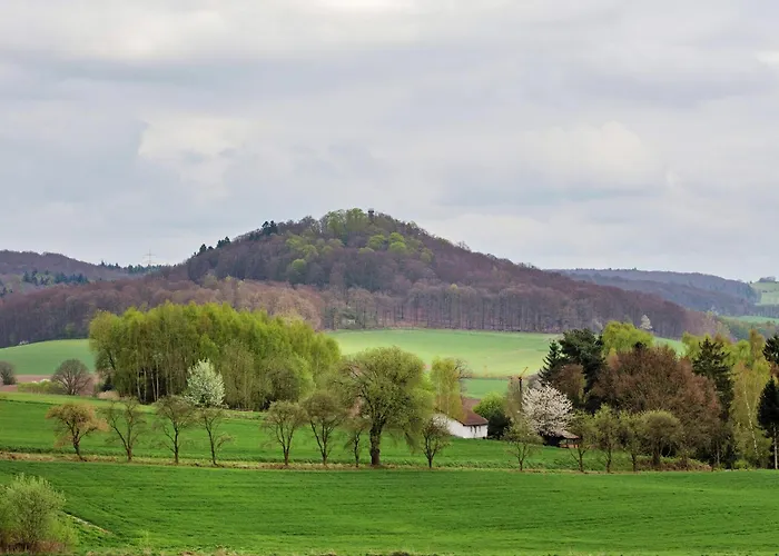 Large Detached In Hesse With Private Garden And Terrace