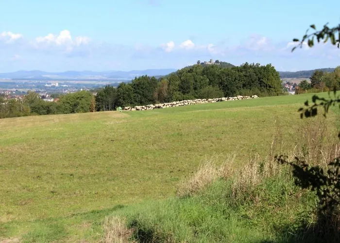 Large Detached In Hesse With Private Garden And Terrace *