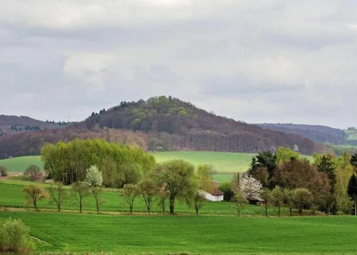 Large Detached In Hesse With Private Garden And Terrace