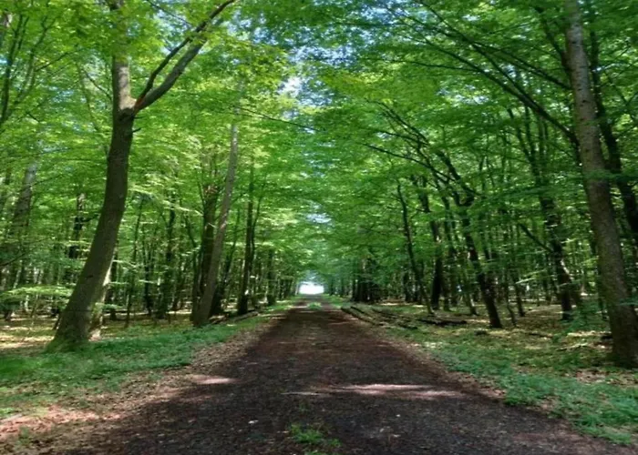 Large Detached In Hesse With Private Garden And Terrace *