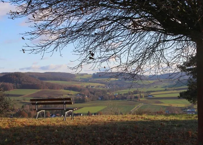 Large Detached In Hesse With Private Garden And Terrace Holiday home *