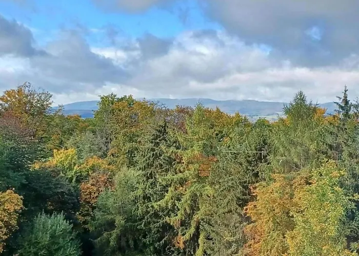 Large Detached In Hesse With Private Garden And Terrace Holiday home *