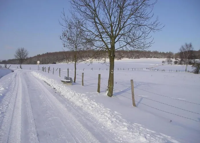 Large Detached In Hesse With Private Garden And Terrace *